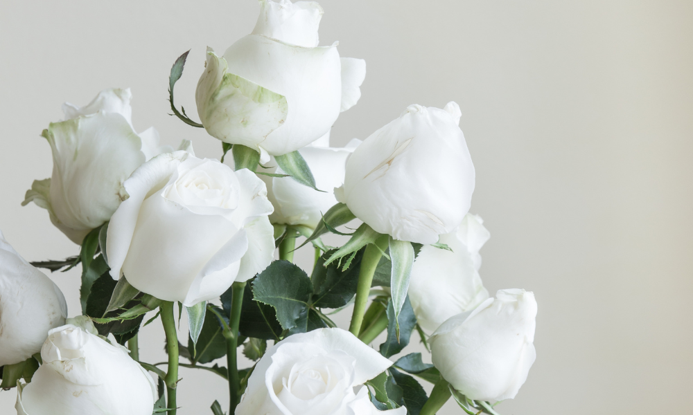 White Roses