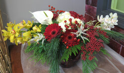 Antherium, Gerbera Dasies, Cymbidium Orchids, Calla Lilies, Hydrangea